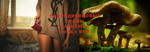 PSILOCYBIN Абдулино