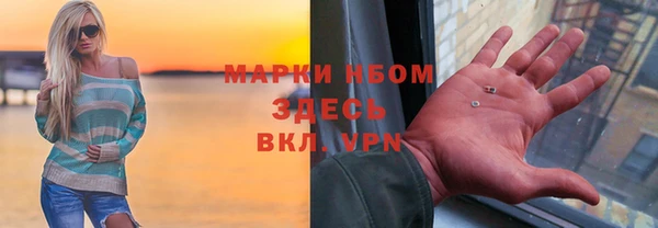 стаф Абаза