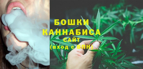 PSILOCYBIN Абдулино