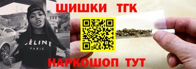 индика Нальчик