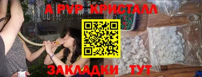индика Нальчик