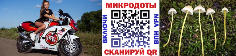 Галлюциногенные грибы MAGIC MUSHROOMS  блэк спрут вход  Ростов-на-Дону 