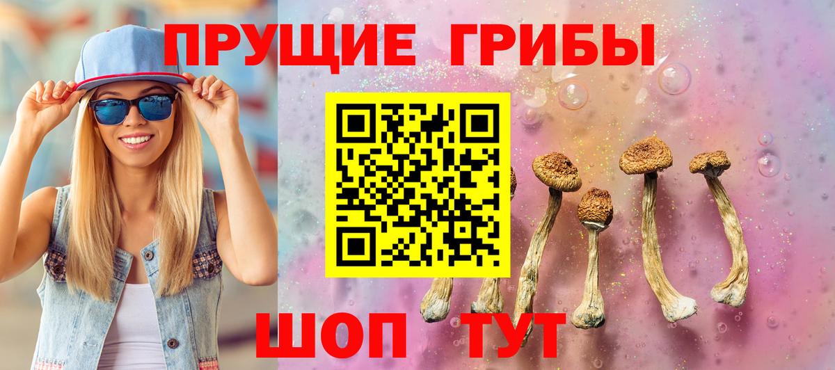 Ростов-на-Дону  Галлюциногенные грибы Cubensis  Вход с VPN  Галлюциногенные грибы мицелий 