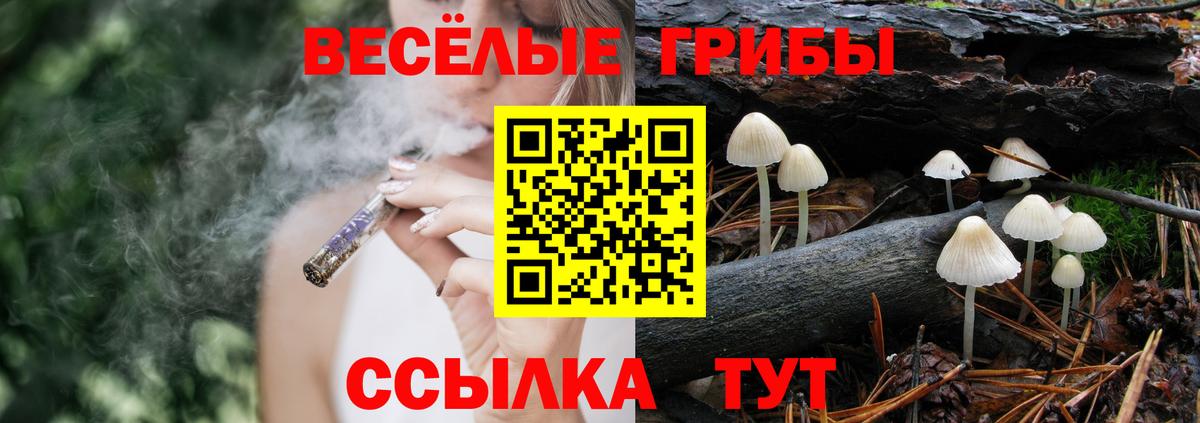 Галлюциногенные грибы GOLDEN TEACHER Ростов-на-Дону